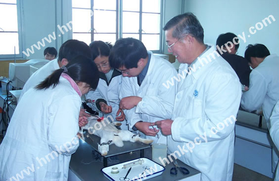 楊鳴澤和中國中醫(yī)科學(xué)院專家一起參加動物實驗.jpg